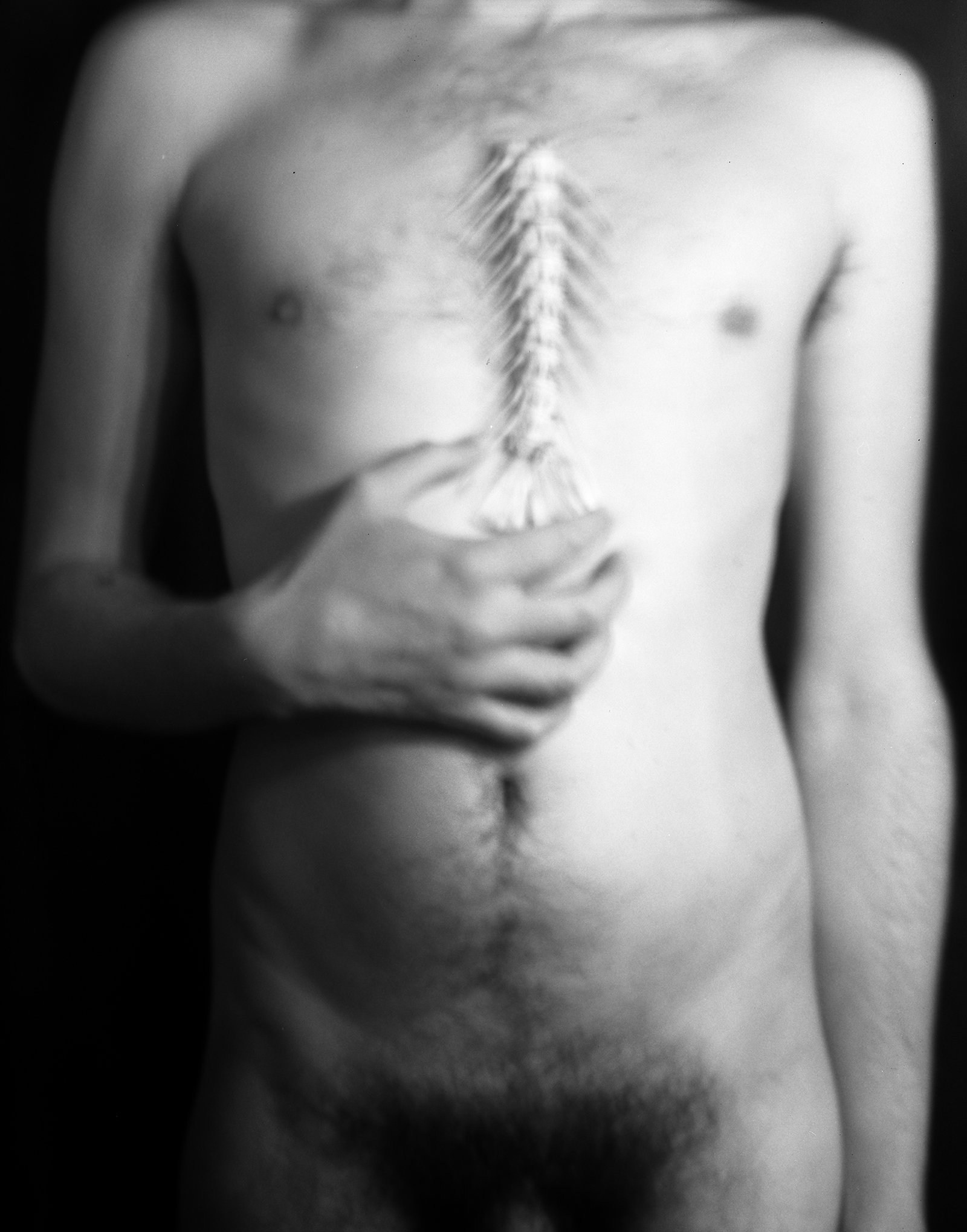 Nicolas Leroy | L'arête