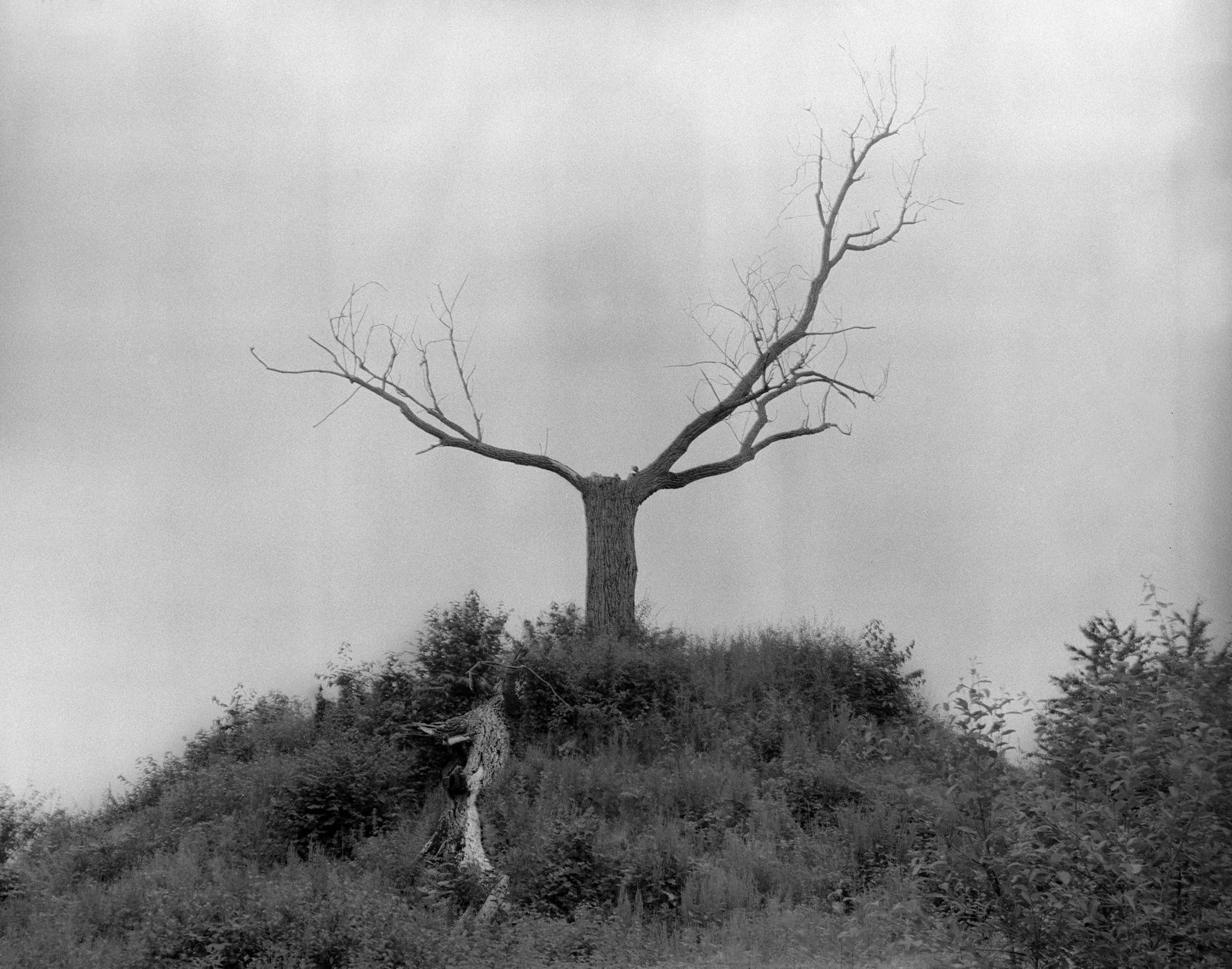 Nicolas Leroy | Tumulus