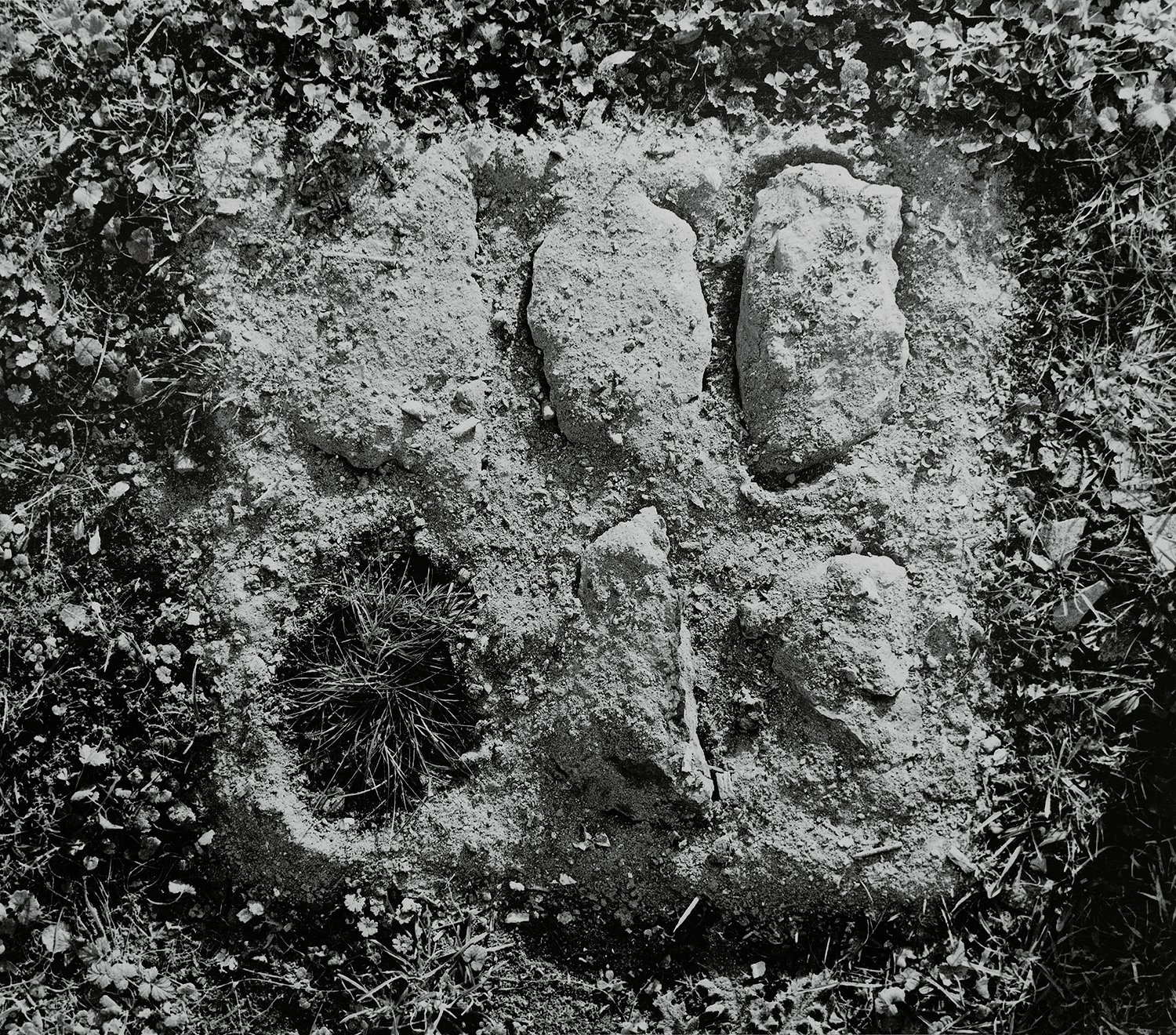 Nicolas Leroy | Cendres et pierres