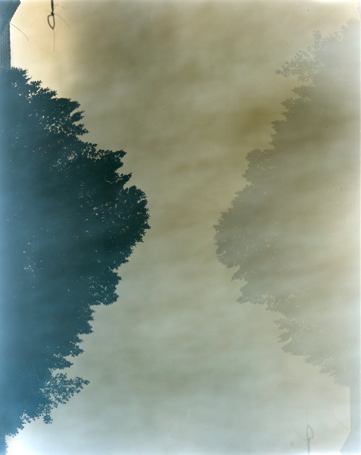 Nicolas Leroy | Les pôles