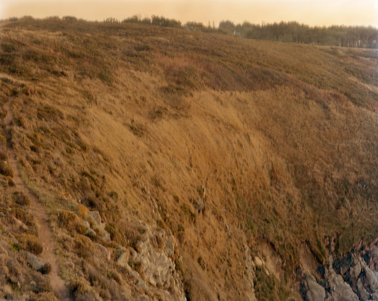 Nicolas Leroy | Le sentier