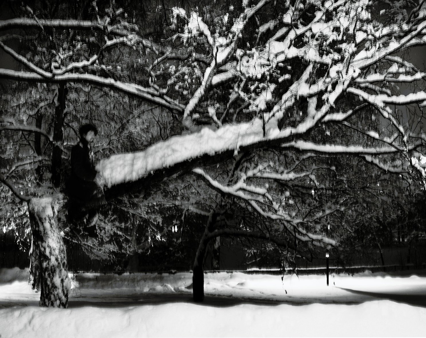 Nicolas Leroy | Le cavalier