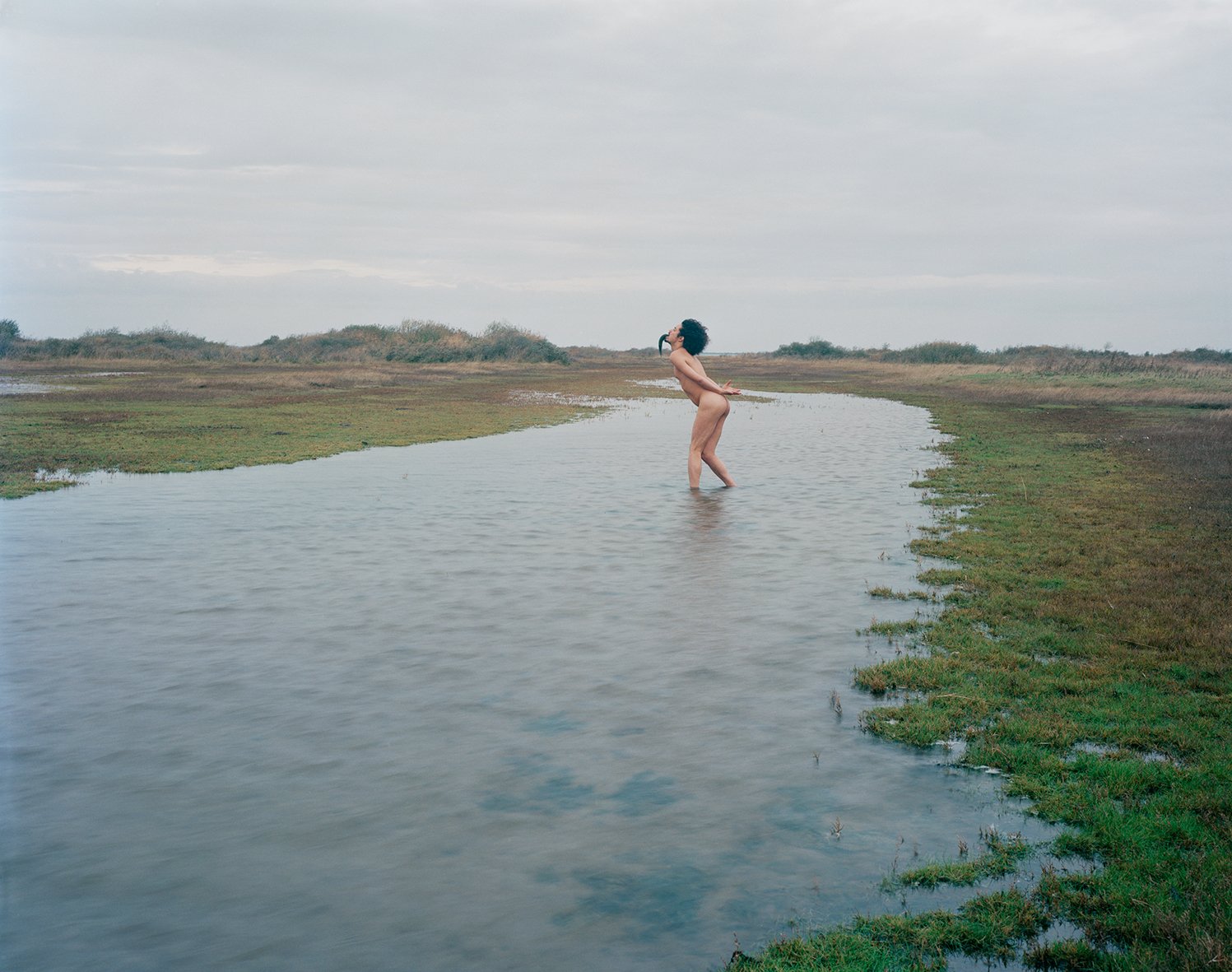 Nicolas Leroy | L'échassier