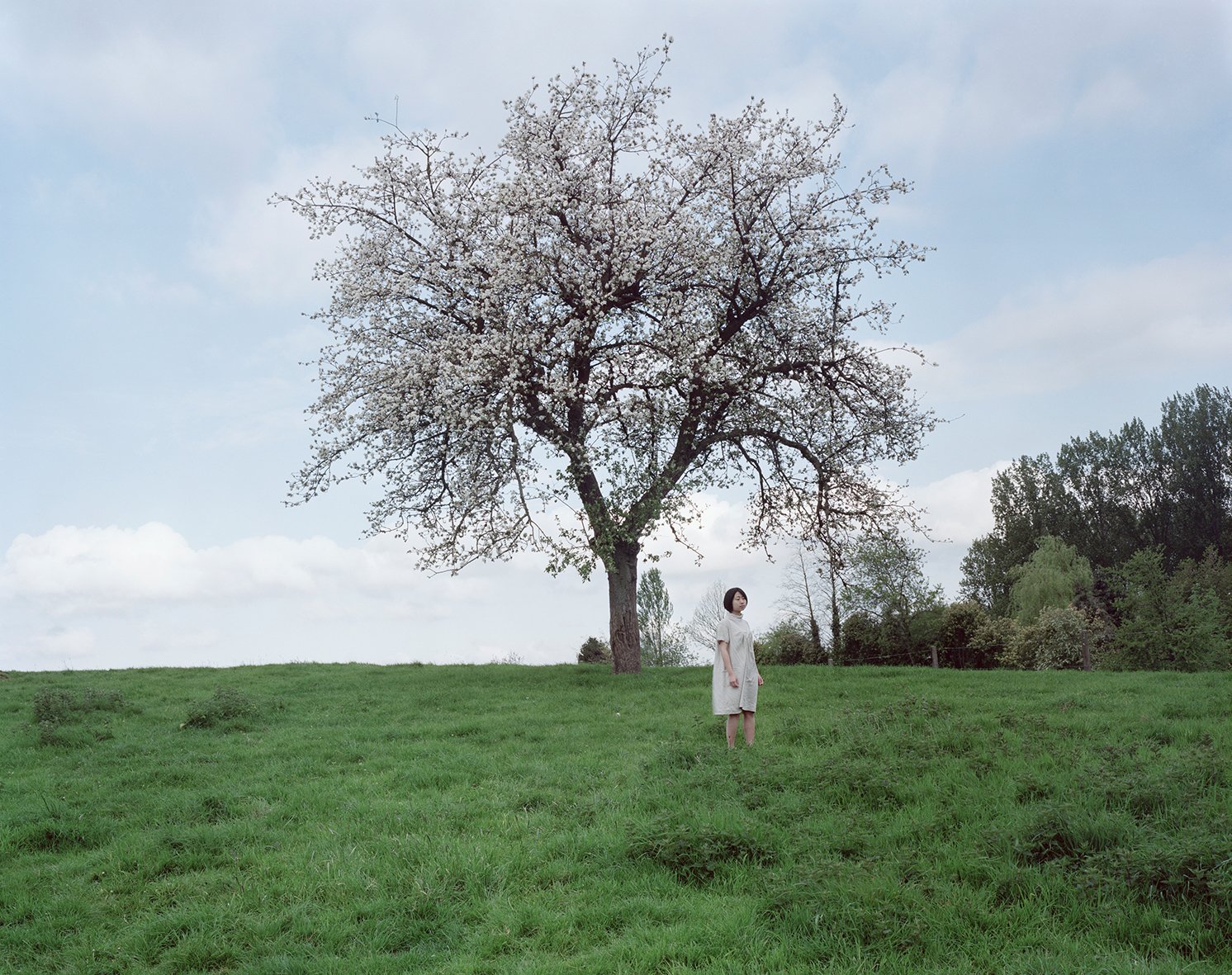 Nicolas Leroy | Shisato