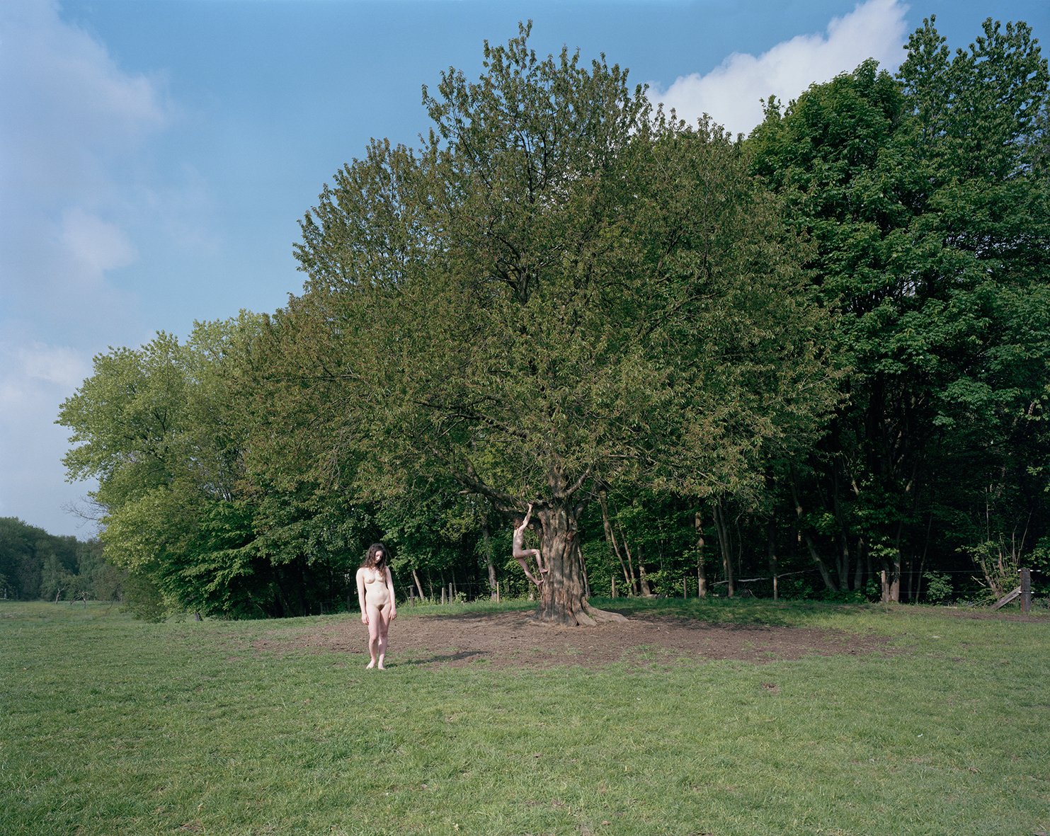 Nicolas Leroy | La chute