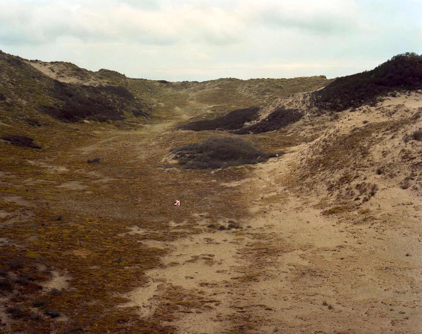 Nicolas Leroy | Les dunes de Slack
