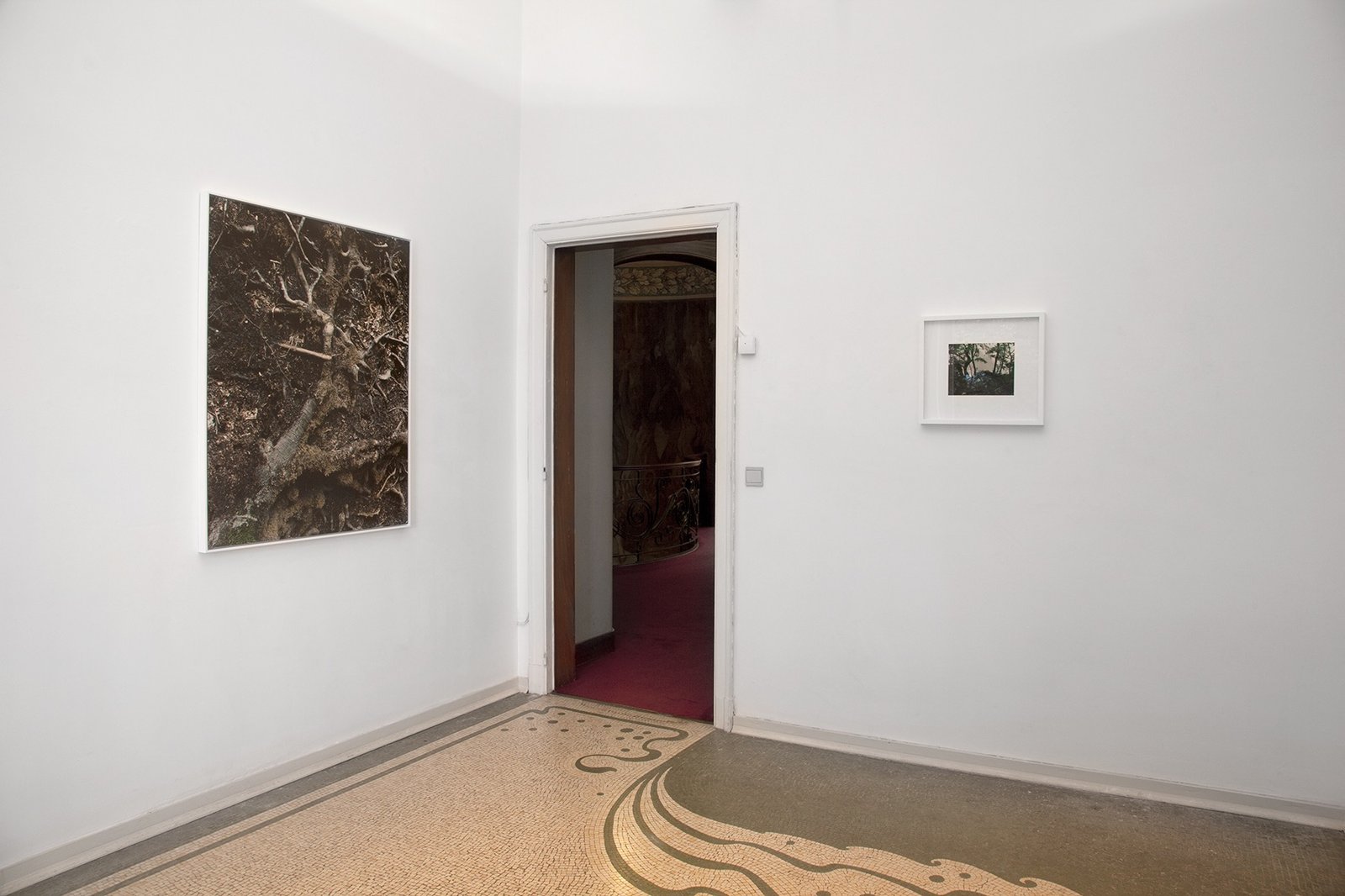 Contretype, Bruxelles