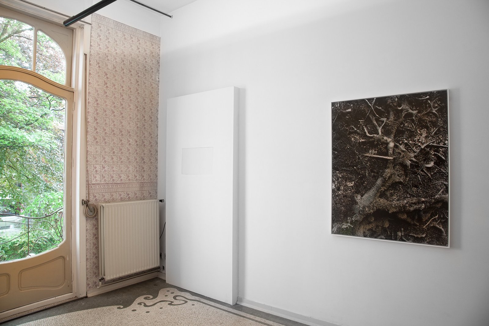 Contretype, Bruxelles